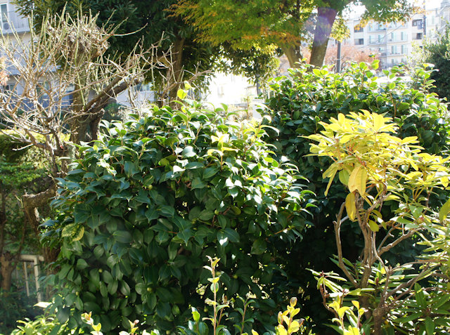 �ĥХ����ء�