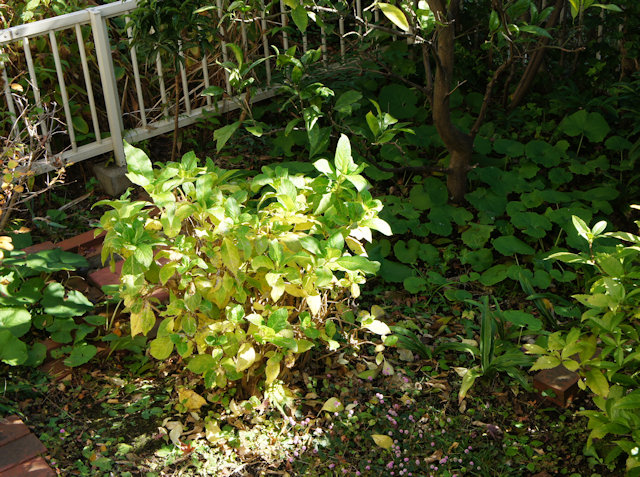 ���������ʻ��۲֡�